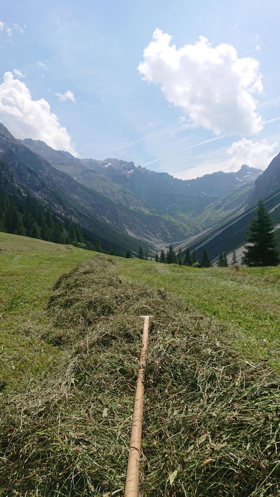 Bergbauernhof Pabulariu Villa Boden Exteriör bild